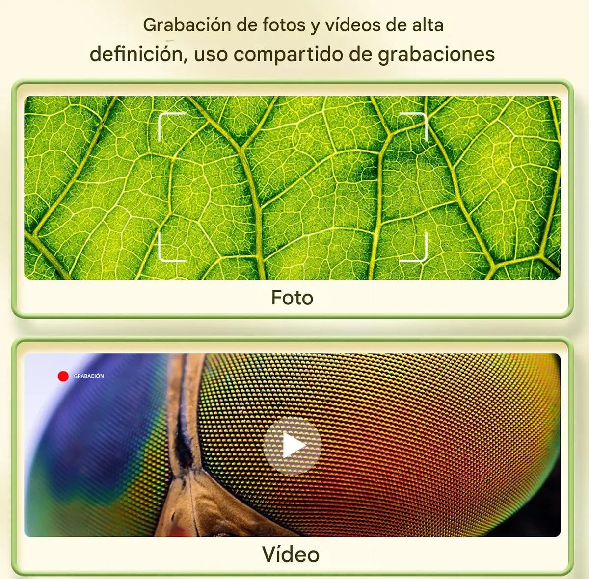 EduScopio 2.0 - Microscopio interactivo para descubrir el mundo microscópico